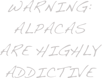Warning: Alpacas are highly addictive