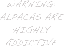 Warning: Alpacas are highly addictive